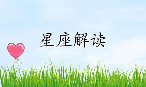 从小白到大神的阶段叫什么