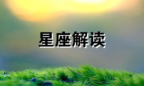 从来不记仇有仇当场就报了