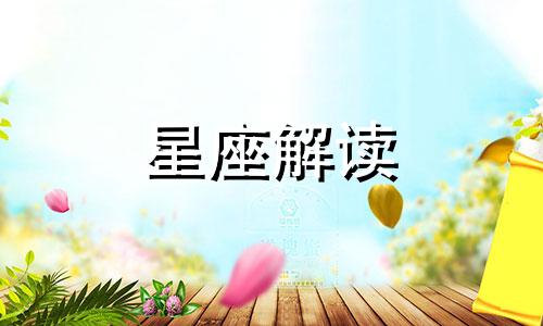 十二星座的爱情败给了什么