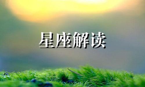 11月20日的生日星座是什么