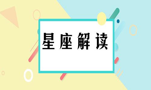 令狮子座最内伤的评价是什么?