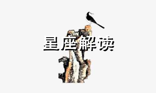 射手座一生中最重要的是什么