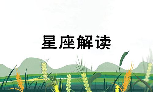 天秤座恋爱中拼命付出是为什么呢