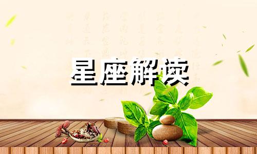 狮子座分手后的恋爱经验