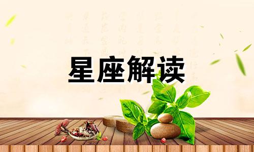 天蝎女会选择爱情还是面包