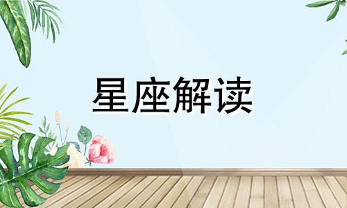 暧昧专家小说全本免费 暧昧专家女主