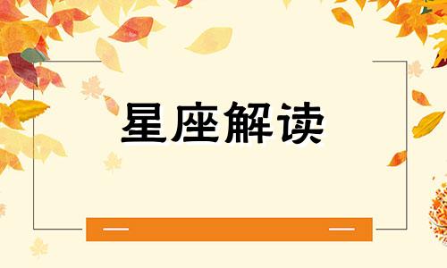 注定被情所伤的生肖女 注定被情所伤什么意思