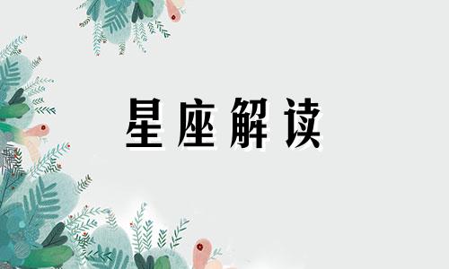 探索摩羯座内心的情感世界是什么