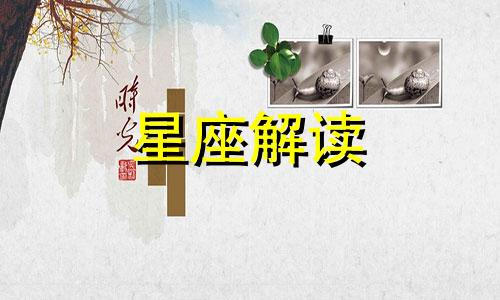 属羊双鱼座男生性格爱情观