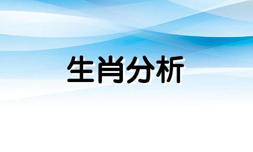 这些生肖最讨厌不被及时回复消息的动物