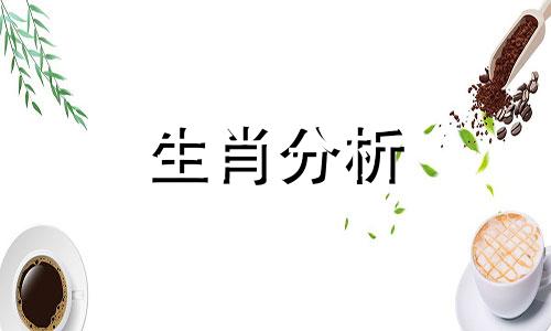 一直在努力是什么意思 一直在努力从未停止的句子