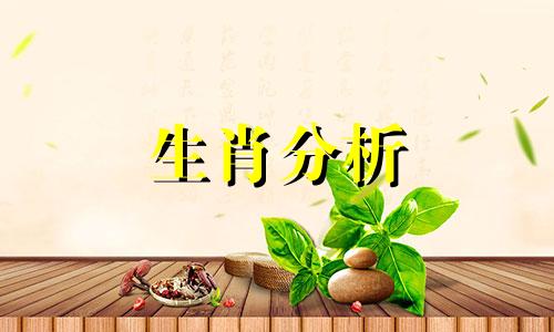 拖沓是什么意思解释一下 拖沓还是拖沓