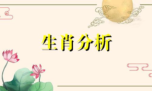 这四大生肖女最会撩冰山男神是什么