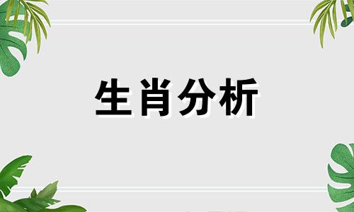 失望多次就会变得豁达的生肖是什么