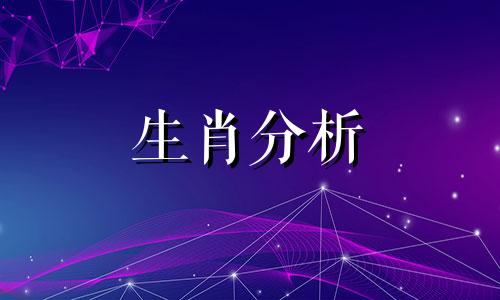 喜欢慢节奏生活的四大生肖是什么