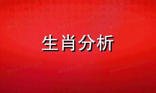 太老实的人就是智商低 太老实了怎么改变自己