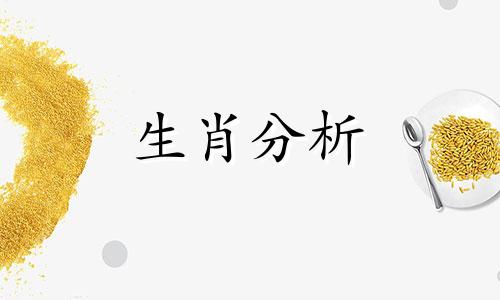 不会因为冲动而做出错误决定的生肖是什么