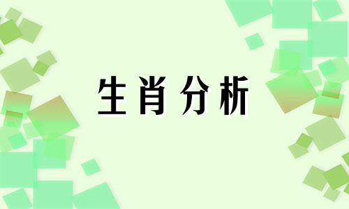 十二生肖容易因什么事情而失去理智呢