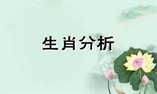 节日生日都不送礼物的男朋友