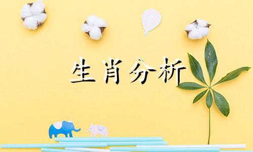 说话太直的人没有未来 说话太直没心眼的人要怎么改变