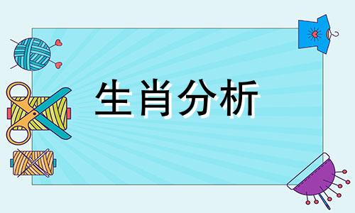 将心比心?这些生肖最会为别人着想的动物