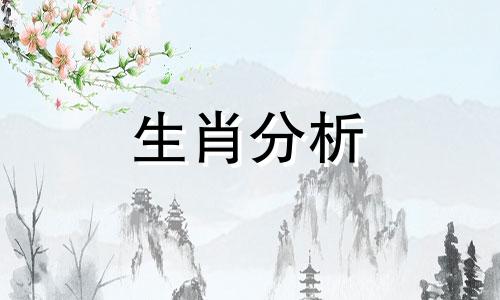 比女生更爱收拾房间的生肖男是什么