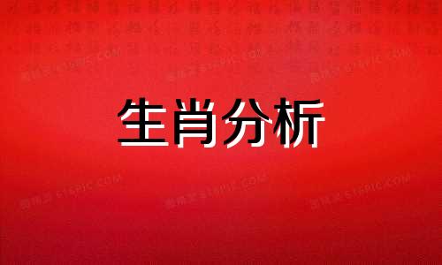 总爱调侃从不表露真情的生肖是什么