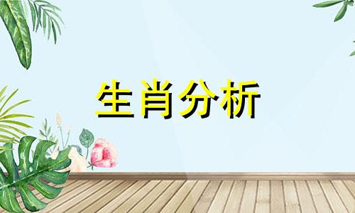 能走就走,不爱坐车的生肖是什么