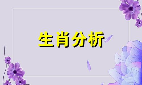 对着星星说话是什么歌 星星能代表什么生肖