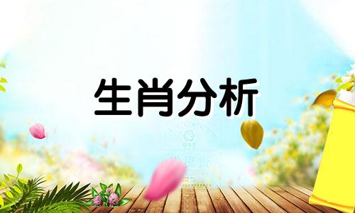 妹子我敬你是条汉子,比男生还man的生肖女生叫什么