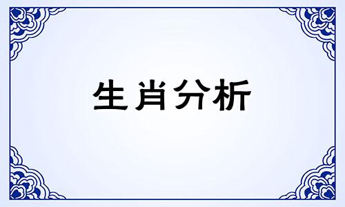 属狗的女人性格和脾气缺点