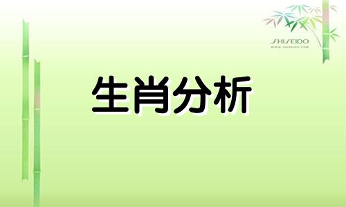 老是喜欢盯着别人夹菜 老是盯着别人看是不是不礼貌