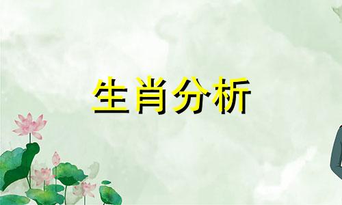 鸡汤成瘾，细数喝了鸡汤不做实事的生肖