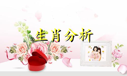 男蛇女羊婚配是否旺夫相学