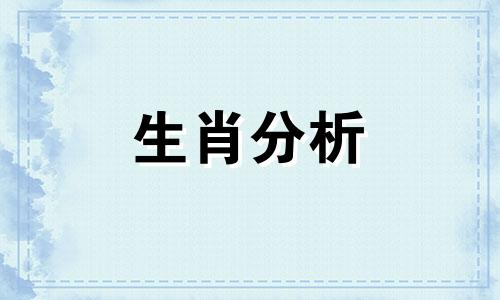 1999年兔男和什么属相最配对