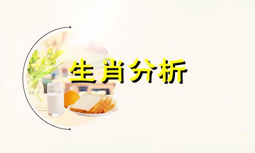 2021年属猪和属龙的合财吗