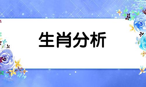 属狗女和属虎男相配吗婚姻