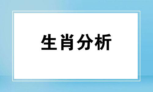 96年属什么的生肖配对马 96年属什么的生肖配对最好