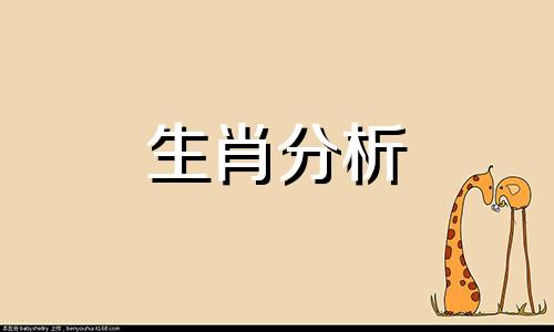 属虎找对象属什么最佳属相