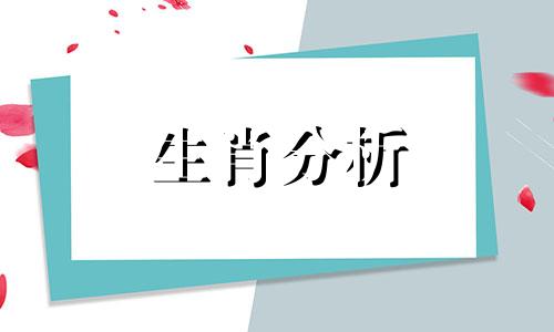 兔和兔属相合不合婚姻呢 兔和兔属相合不合性格