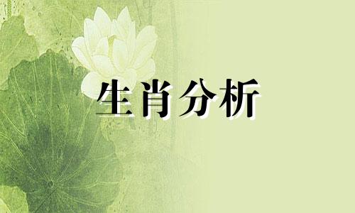 1992年属猴31岁以后命运如何