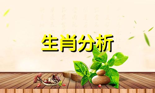 属猴同属虎生肖婚姻会幸福吗女