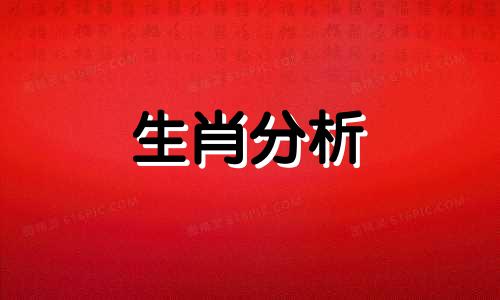 95年属猪女和98年属虎男相配吗 婚姻圆满矛盾少