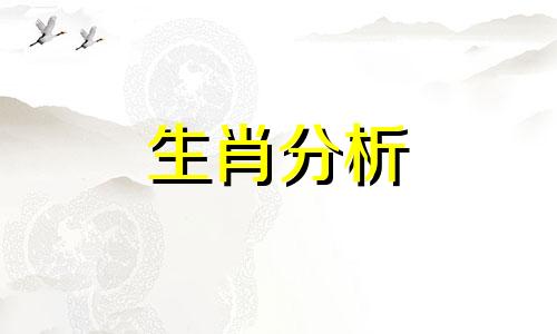 属马属狗适合做夫妻吗好不好