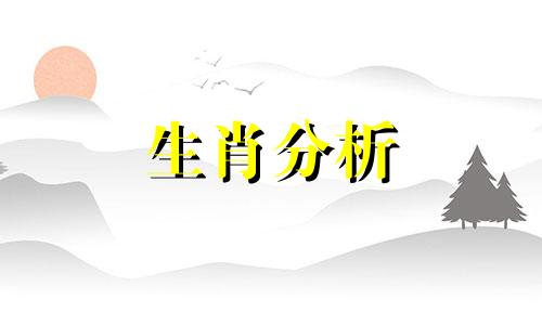 夫妻属相相生相克表属相不合怎么破