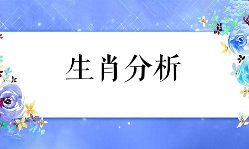 属猴的和什么属相不合相冲