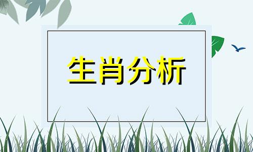 家人属相相克如何化解相冲