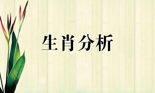 属兔人和什么属相最配、相克