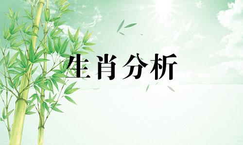 婚姻最幸福的生肖组合 婚姻最好的生肖