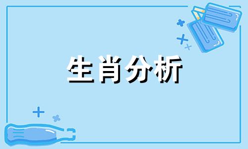 生肖狗的婚姻分析,属狗命运和婚姻如何